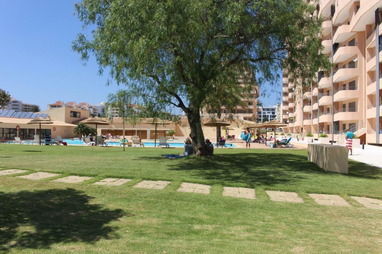 Charme Paraiso Sol Apartment